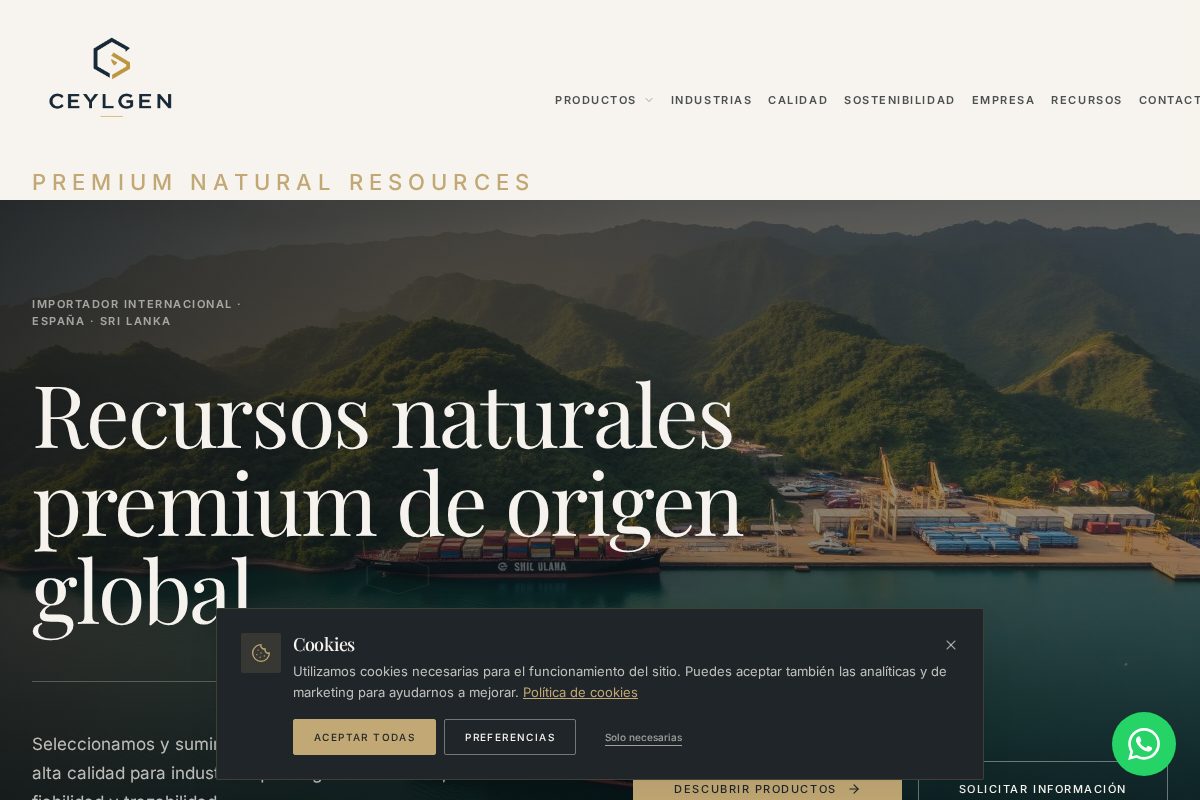 Mockup de la web Ceylgen